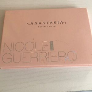 Nicole Guerriero highlight palette